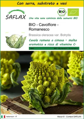 Immagine prodotto di SAFLAX Insieme di coltivazione -- Cavolfiore - Romanesco - 50 semi - Brassica