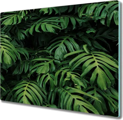 Produktbild von Coloray Hackbrett Kochplattenabdeckung Herdabdeckplatte 60x52 cm Schneidebrett Küchenbrett - tropische Blätter