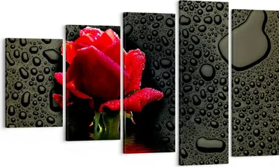 Produktbild von Bild auf Leinwand - Leinwandbild - Blume rote rose wasser tau - 100x60cm - Wand Bild - Wanddeko - Leinwanddruck - Bilder - Kunstdruck - Wanddekoration - Leinwand bilder - Wandkunst - EG100x60-2367