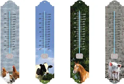 Produktbild von Esschert Design Thermometer Farmtiere sortiert; TP161
