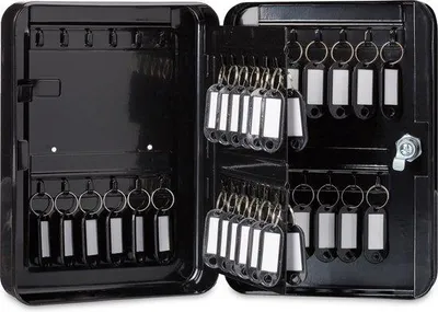 Produktbild von Famanu Schlüsselschrank Metall abschließbar 48 Haken - Schwarz