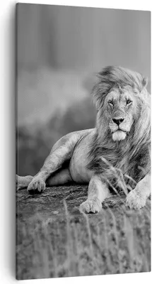 Produktbild von Bild auf Leinwand - Leinwandbild - Löwe Tier Natur - 55x100cm - Wand Bild - Wanddeko - Wandbilder - Leinwanddruck - Bilder - Kunstdruck - Wanddekoration - Leinwand bilder - Wandkunst - PA55x100-3931