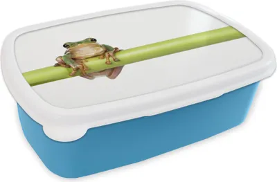 Produktbild von KitchenYeah® Lunchbox Brotzeit Brotdose 17x11 cm Frosch - Bambus - Weiß Kinder Brotzeitdose - Lunch - Kunststoff  - Brotbüchse - Sandwichbox - Lunchbox für Kinder
