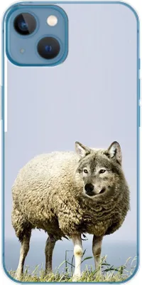 Produktbild von König Design Hülle kompatibel mit Apple iPhone 14 Kunststoff Soft Handyhülle - Handy Case Wolf im Schafspelz