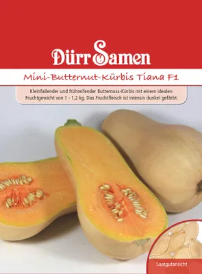 Produktbild von Mini-Butternut-Kürbis Tiana F1 | Kürbissamen von Dürr Samen