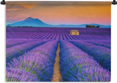 Produktbild von MuchoWow® Wandteppich Wandbehang Lavendel - Lila - Blumen 90x67.5 cm Tapisserie Dekoration Wandtuch - Fototeppich - Wand-Skulpturen
