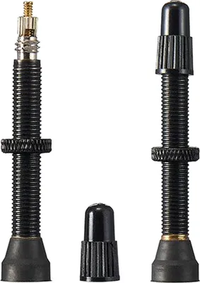 Produktbild von Ritchey Tubless Ventil 55mm schwarz2 Stück