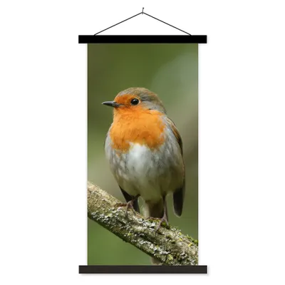 Produktbild von MuchoWow® Textilposter Vogel - Rotkehlchen - Zweig - Pflanzen 90x180 cm mit schwarzem Rahmen - Dekoration Wohnzimmer