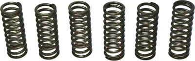 Immagine prodotto di Kit 6 molle frizione EBC CSK075 per Suzuki