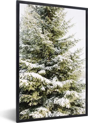 Produktbild von MuchoWow® Gerahmtes Poster Winter - Schnee - Baum 40x60 cm - Poster mit Schwarzem Bilderrahmen Wandposter Rahmen Foto Bilder - Papierdruck - Wandbilder