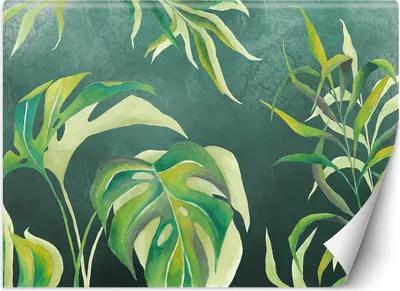 Produktbild von Vlies fototapete Monstera-Blätter 300x210 cm Feeby Grau inkl. Kleber einfache Montage