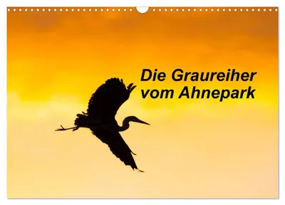 Produktbild von Die Graureiher vom Ahnepark (Wandkalender 2027 DIN A3 quer), CALVENDO Monatskalender