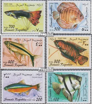Produktbild von Briefmarken Somali Republic 1998 Mi 1998Fa-1998Ff die Legalität dieser Ausg. ist ungeklärt postfrisch Fische