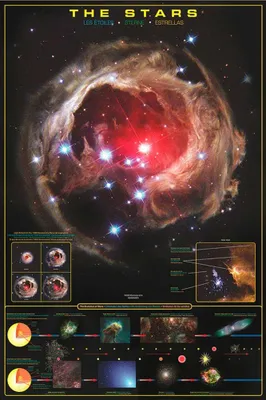 Image de Educational - Éducation Stars Stars - Impression d'affiches - Taille 61x91,5 cm