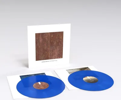 Zdjęcie produktu dla Dystrykt Sandwell: Sandwell District: End Beginnings (Limited Numbered Edition) (Transparent Blue Vinyl) - Play It - (LP / E)