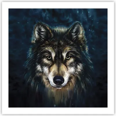Produktbild von Poster - Poster ohne Rahmen - Wolf Dunkel Grafik - 60x60 cm - Wand Bild - Wanddeko - Wandbilder - Kunstposter - Wandposter - Bilder - Kunstdruck - Wanddekoration - Wandbild - P2XAC60x60-4845