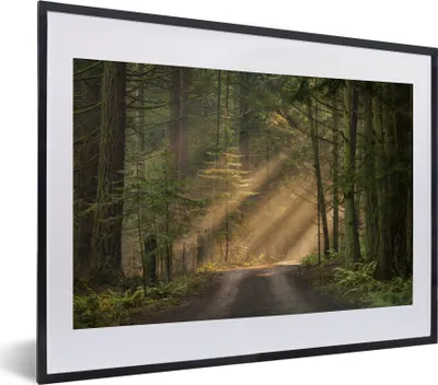 Produktbild von MuchoWow® MuchoWow® Gerahmtes Poster Wald - Baum - Weg 40x30 cm - Poster mit zchwarzem Bilderrahmen - Bilderrahmen - Poster im Rahmen
