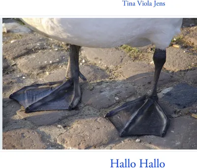 Produktbild von Hallo Hallo