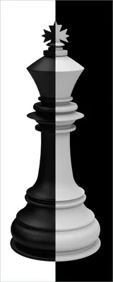 Produktbild von Wallario selbstklebendes Poster - Schachfigur schwarz-weiß, Größe: 80 x 200 cm