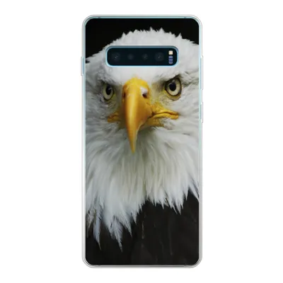 Produktbild von MuchoWow® Handyhülle Schutzhülle Hülle für Samsung Galaxy S10 Plus Adler - Schwarz - Weiß Silikon Softcase Handy Hülle - Schutzhülle