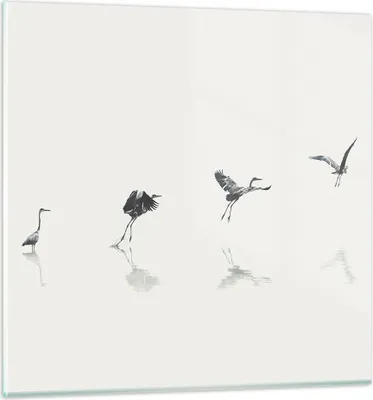 Produktbild von Bilder auf glas - Einteilig - Flug Vogel Reiher - 70x70cm - Glasbilder - Wandbilder - Bilder - zum Aufhängen bereit - Wanddekoration aus Glas - Glas Bilder - Wandbild auf Glas - GAC70x70-5096