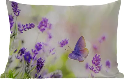 Produktbild von MuchoWow® Outdoor Kissen - Lavendel - Schmetterling - Blumen - 60x40 cm - Wetterfest - Lounge Kissen - Zierkissen - Kissen für Innenräume