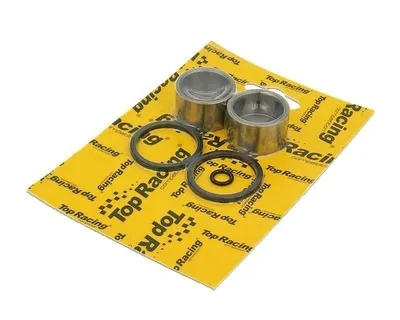 Image de Brembo Raldklauwzuiger-set 28x17 à l'arrière