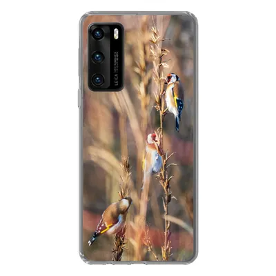 Produktbild von MuchoWow® Handyhülle Schutzhülle Hülle für Huawei P40 Vögel - Äste - Wald Silikon Softcase Handy Hülle - Handytasche