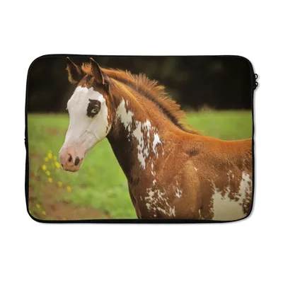 Produktbild von MuchoWow® Laptop Hülle 13 Zoll Pferd - Weiß - Braun Laptoptasche - Laptophülle - Sleeve - Rundumschutz