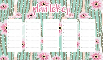 Produktbild von Magnetischer Unterrichtsplan Rosa Kakteen 45x26CM