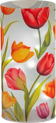 Produktbild von formano LED Deko Licht Blütentraum Zylinder Glas 16 cm Tulpen Blumen Motiv Timer