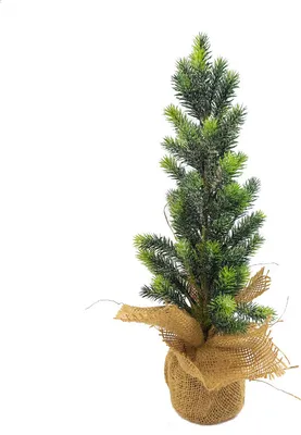 Produktbild von Grüner Weihnachtsbaum in einer Tüte 40cm 40 cm