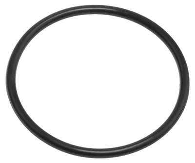 Produktbild von Thomas 109166 Dichtung für Aquafilterboxen Wassertank Nass-/Trockensauger