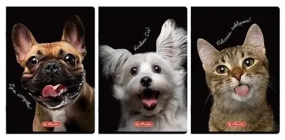 Zdjęcie produktu dla Zeszyt A4/60K kratka z marginesem Animals 5szt