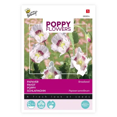 Obrázok produktu pre Buzzy Makové kvety Semená ópiového maku - cca 1 gr | Buzzy_080854