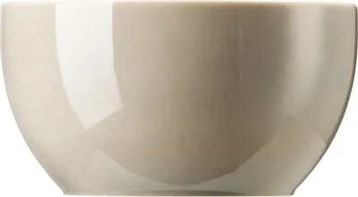 Zdjęcie produktu dla Thomas 10850-408543-14335, Porcelana