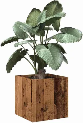 Produktbild von Hochwertig Pflanzgefäß Altholz-Optik 40x40x40 cm Holzwerkstoff 857027