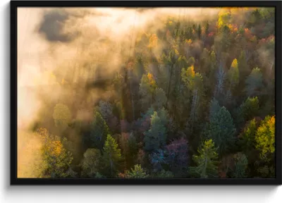 Produktbild von MuchoWow® MuchoWow® Gerahmtes Poster Wald - Nebel - Sonnenuntergang 90x60 cm - Poster mit zchwarzem Bilderrahmen - Fotorahmen - Foto-Plakat