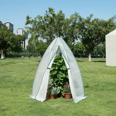 A small greenhouse with plants inside, set up on a grassy lawn with trees and buildings in the background.