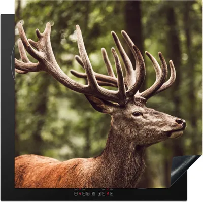 Produktbild von KitchenYeah© Herdabdeckplatte Hirsch - Natur - Geweih - Wald - Tiere , 78x78cm, Küche Deko, Glaskeramikkochfeld Herdabdeckung, Abdeckplatte fùr Kochfeld