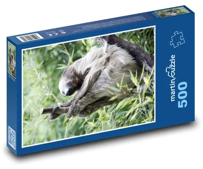 Zdjęcie produktu dla martinpuzzle - Puzzle 500 elementów - Lenochod