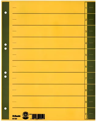 Produktbild von ESSELTE Trennblatt A4 grau Trennblatt A4 Tabe und Lochran