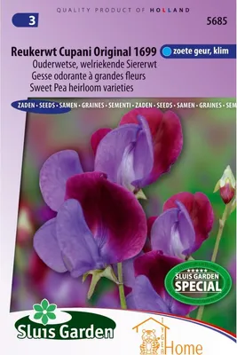 Image de Sweet Pea Cupani Original 1699 graines - Pois de senteur à l'ancienne, graines de pois Heirloom Sweet pour jardins romantiques et bordures