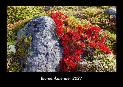 Produktbild von Blumenkalender 2027 Fotokalender DIN A3