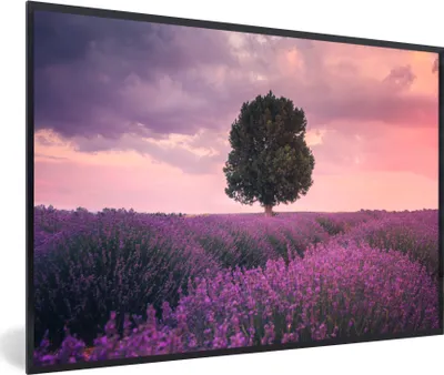 Produktbild von MuchoWow® Gerahmtes Poster Lavendel - Lila Blumen - Baum - Natur 30x20 cm - Poster mit Schwarzem Bilderrahmen Wandposter Rahmen Foto Bilder - Kunstdruck - Bild-Poster