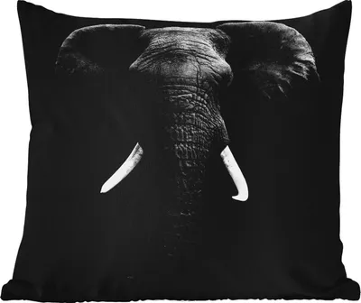 Produktbild von MuchoWow® Outdoor Kissen - Elefant - Wildtiere - Schwarz - Weiß - Porträt - 60x60 cm - Wetterfest - Lounge Kissen - Dekoration - Schlaf Kissen