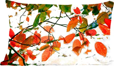 Produktbild von MuchoWow® Zierkissen Sofakissen Wohnzimmer Dekokissen 60x40 cm Herbst - Blätter - Landleben - Jahreszeiten - Kopfkissen - Polster mit Foto