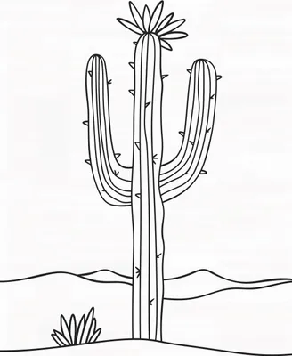 Produktbild von Plakat 64x90cm Wüstenriese
