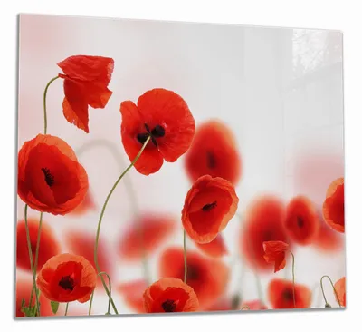 Produktbild von Wallario Herdabdeckplatte aus Glas, Größe 60 x 52 cm 1-teilig, Motiv Leuchtende Mohnblumen - Rote Mohnblumenblüten