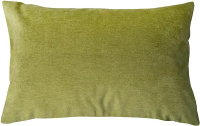 Produktbild von Kissenhülle - 40 x 60 cm - Grün - Microvelours - mit Reißverschluss